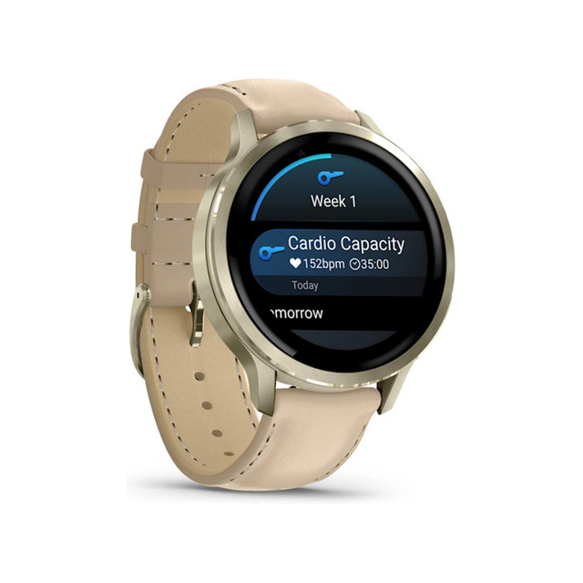 Смарт-часы Garmin Venu 4 45mm (грифельный)