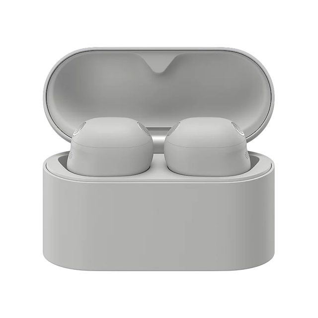 Беспроводные наушники Sony Wireless WF-1000XM6 (серебристый)