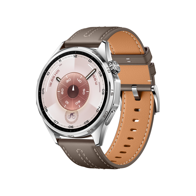 Смарт-часы Huawei Watch GT6 46mm (серый)