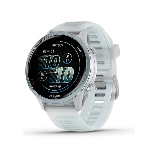 Смарт-часы Garmin Forerunner 570 42mm (облачный/синий)