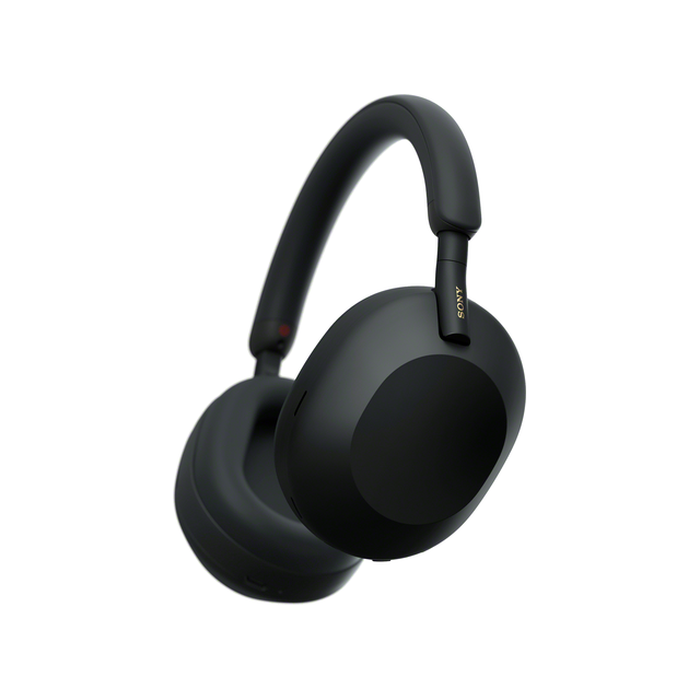Беспроводные наушники Sony WH-1000 XM5SA (черный) мягкий кейс